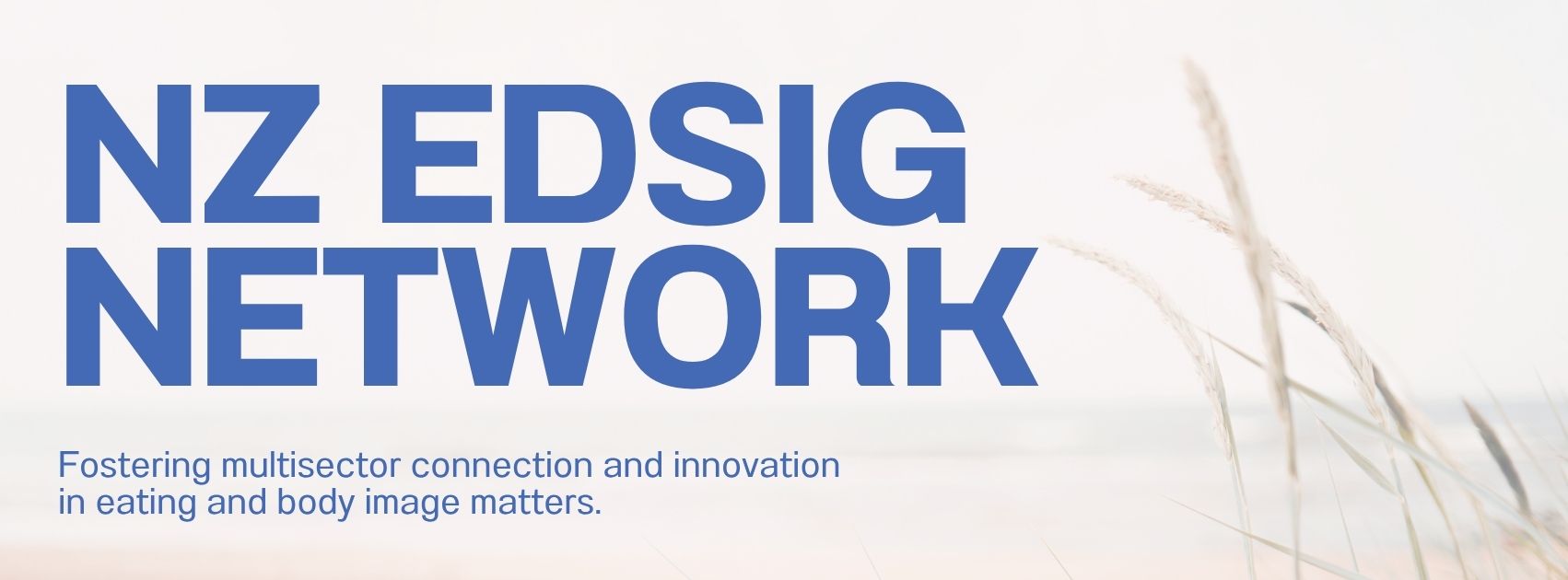 NZ EDSIG NETWORK